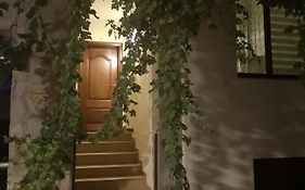 Вила Свила